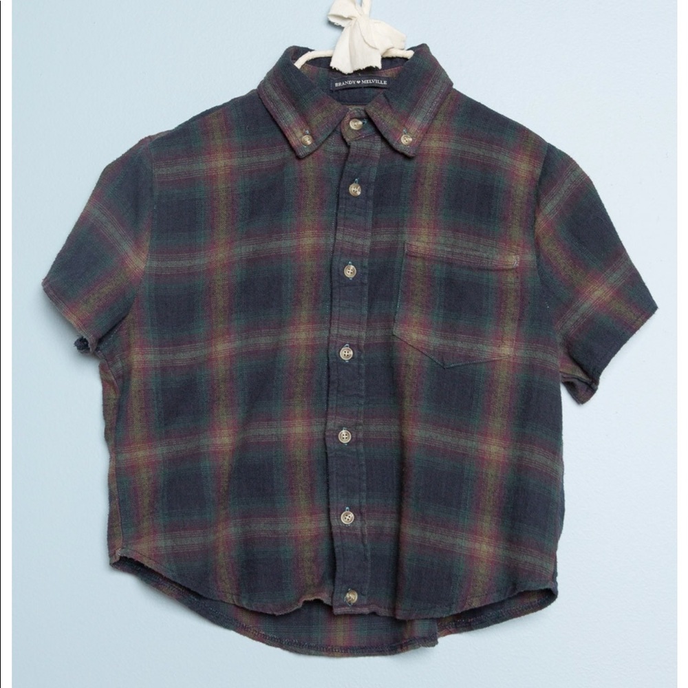 ISO plaid button up brandy crop top